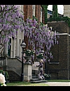 00284.jpg