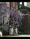 00285.jpg
