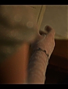 002813.jpg
