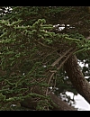 Filename=001876.jpg
Filesize=712KiB
Dimensions=1920x1080
Date added=May 24, 2024 001876.jpg