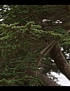 Filename=001877.jpg
Filesize=681KiB
Dimensions=1920x1080
Date added=May 24, 2024 001877.jpg