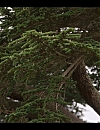 Filename=001878.jpg
Filesize=675KiB
Dimensions=1920x1080
Date added=May 24, 2024 001878.jpg