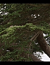 Filename=001879.jpg
Filesize=693KiB
Dimensions=1920x1080
Date added=May 24, 2024 001879.jpg