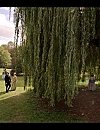 00493.jpg