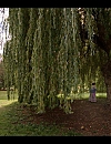 00496.jpg
