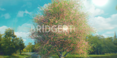 00160.png