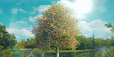 00162.png