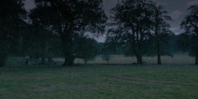 001203.png